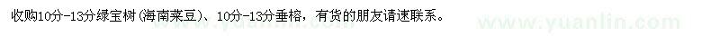 求購10分-13分綠寶樹(海南菜豆)、垂榕