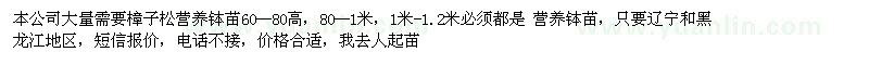 求購大量需要樟子松營養(yǎng)缽苗