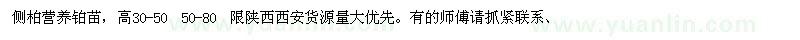 求購側(cè)柏營養(yǎng)鉑苗