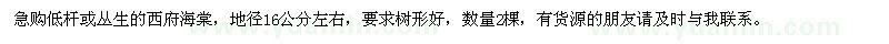 求購西府海棠