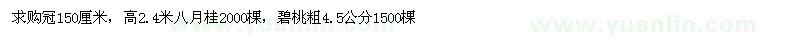 求購冠150厘米，高2.4米八月桂2000棵