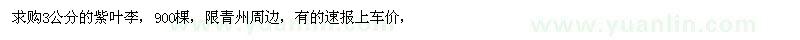 求購(gòu)3公分的紫葉李