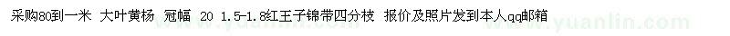 求購大葉黃楊、紅王子錦帶 