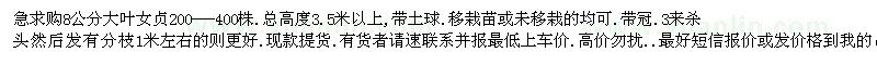 求購(gòu)8公分大葉女貞200-400棵