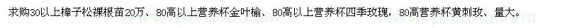 求購樟子松,金葉榆,四季玫瑰,黃刺玫