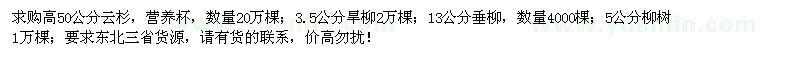 求購云杉、旱柳、垂柳、柳樹