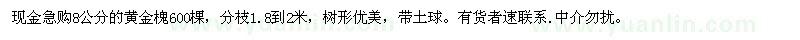 求購8公分的黃金槐