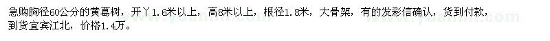 求購胸徑60公分的黃葛樹