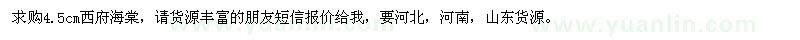 求購4.5公分西府海棠