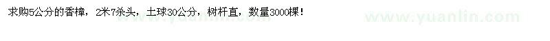 求購5公分香樟3000棵