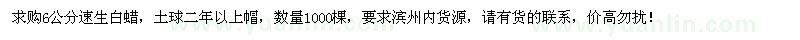 求購6公分速生白蠟1000棵