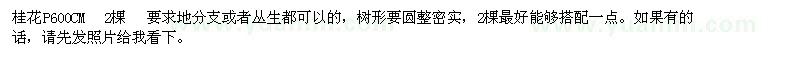 求購桂花