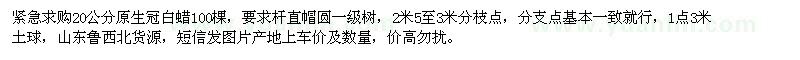 求購急20公分白蠟