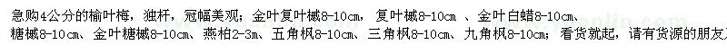 求購急購4公分的榆葉梅