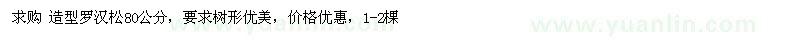 求購造型羅漢松80公分
