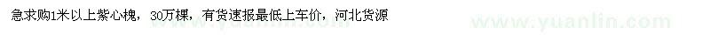 求購1米以上紫心槐