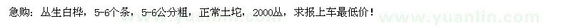 求購叢生白樺