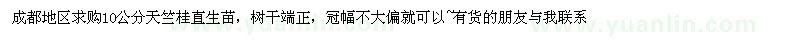 求購10公分天竺桂直生苗
