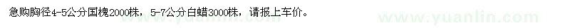 求購(gòu)急胸徑4-5公分國(guó)槐,5-7公分白蠟