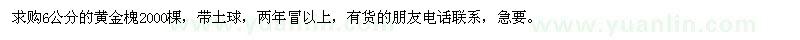 求購6公分的黃金槐2000棵 