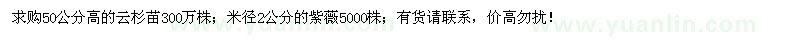 求購高50公分云杉苗、2公分紫薇