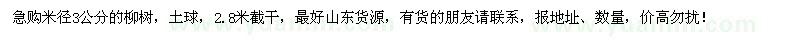 求購米徑3公分柳樹