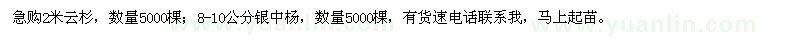 求購(gòu)急2米云杉,8-10公分銀中楊