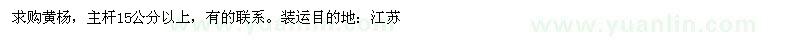 求購黃楊