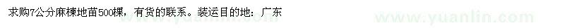 求購(gòu)7公分麻楝地苗