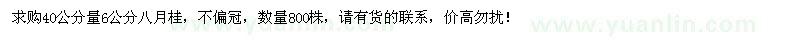 求購40公分量6公分八月桂800棵