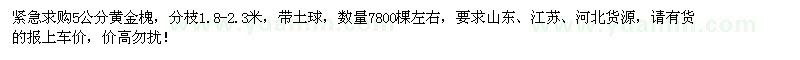 求購(gòu)5公分黃金槐7800棵