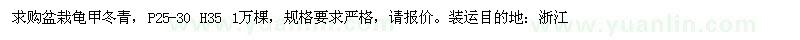 求購(gòu)盆栽龜甲冬青