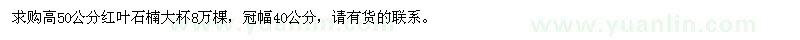 求購(gòu)紅葉石楠大杯苗