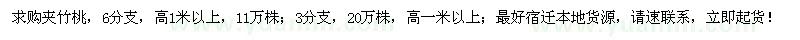 求購3分枝、6分枝夾竹桃31萬棵
