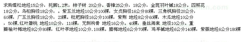 求購(gòu)雪松、柿子樹(shù)、香樟、金斑羽葉槭 四照花 柿子樹(shù) 無(wú)刺構(gòu)骨等等