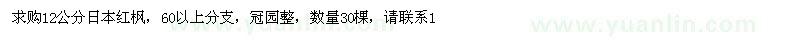 求購日本紅楓