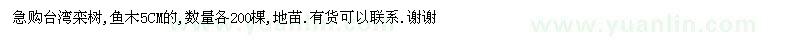 求購(gòu)臺(tái)灣欒樹(shù),魚(yú)木