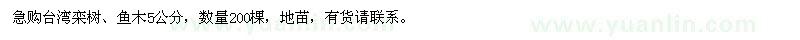 求購15分高山榕假植苗或者袋苗