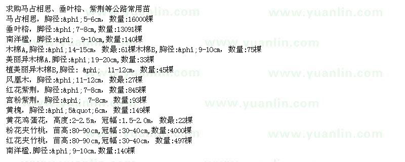 求購(gòu)馬占相思、垂葉榕、紫荊等公路常用苗