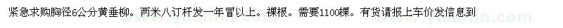 求購胸徑6公分黃垂柳