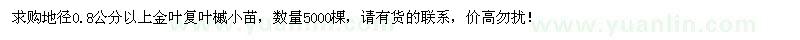 求購(gòu)地徑0.8公分以上金葉復(fù)葉槭小苗5000棵