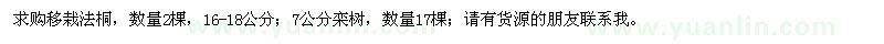 求購(gòu)移栽法桐、7公分欒樹(shù)