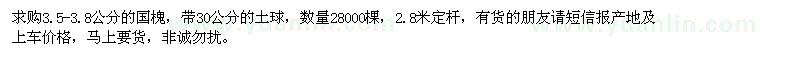 求購3.5-3.8公分的國槐