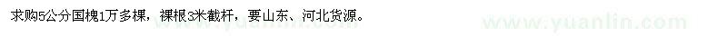 求購5公分國槐