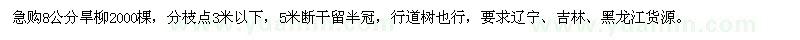 求購8公分旱柳