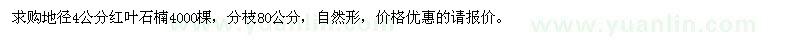 求購地徑4公分紅葉石楠4000棵