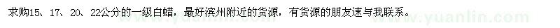 求購15、17、20、22公分的一級(jí)白蠟