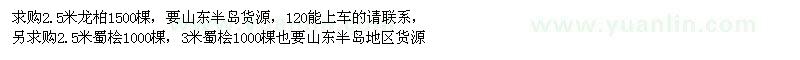求購龍柏、蜀檜