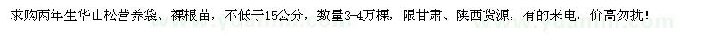 求購(gòu)15公分以上華山松3-4萬(wàn)棵