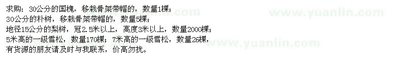 求購國槐、樸樹、梨樹、雪松